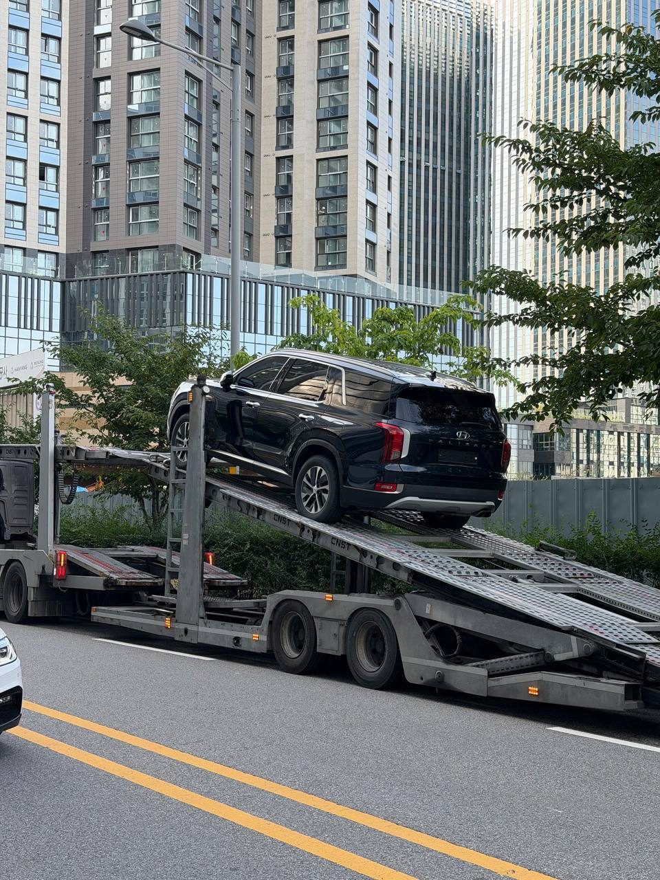 Hyundai Palisade с номерной рамкой